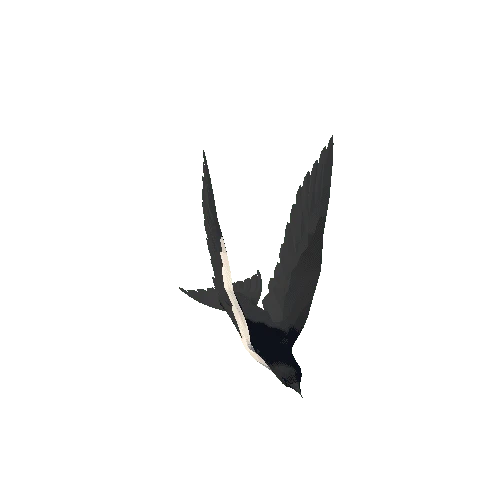 Low Poly Swallow 01